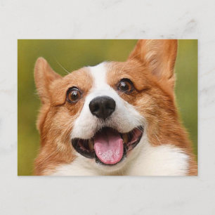 Hinzufügen eines Personalisierten, benutzerdefinie Postkarte