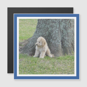 Hinzufügen von Foto zum Square Template Royal Blue Magnetkarte