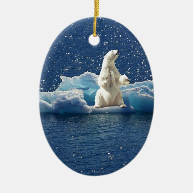Hinzufügen von SLOGAN zum Rett von Polarbären mit  Keramikornament (Vorne)