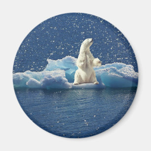 Hinzufügen von SLOGAN zum Rett von Polarbären mit  Magnet