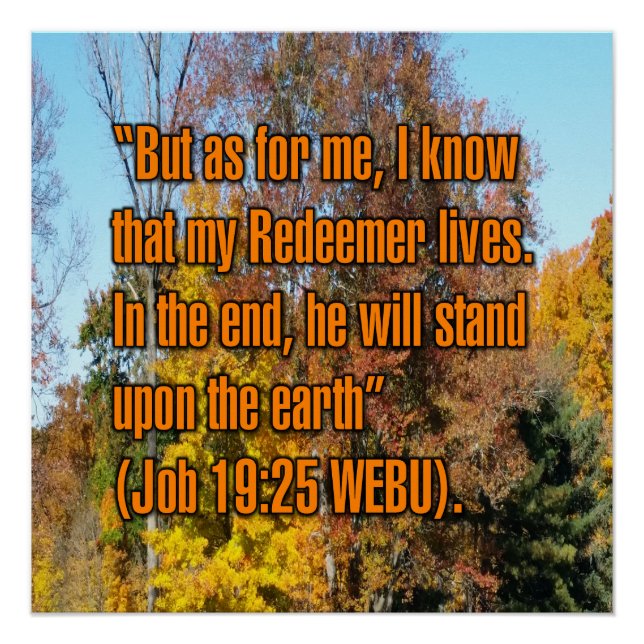 Hiob 19:25 WEBU Poster (Vorderseite)