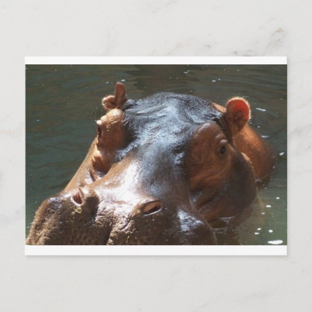 Hippie Postkarte (Vorderseite)