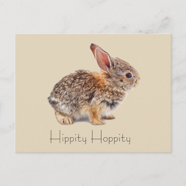 Hippity Hoppity Cottontail Rabbit Postkarte (Vorderseite)