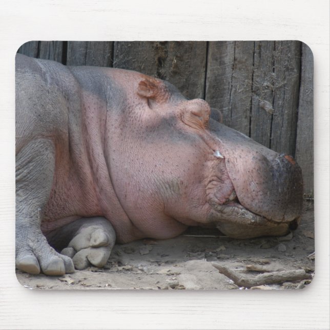 hippo2-4 mousepad (Vorne)