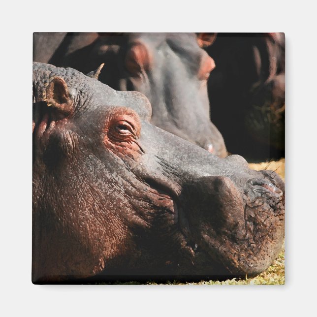 Hippo-Einstellmagnet Magnet (Vorne)