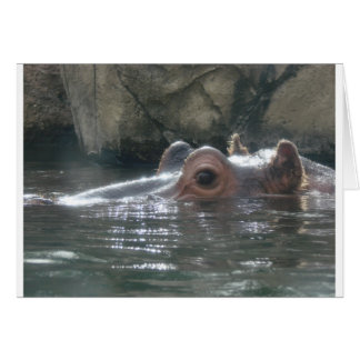 Hippo Flüchtige Blick a Boo