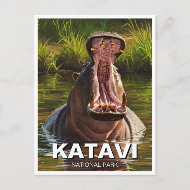 Hippo in Katavi Nationalpark Tanzani Postkarte (Vorderseite)