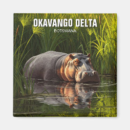 Hippo in Okavango Delta Botswana Magnet