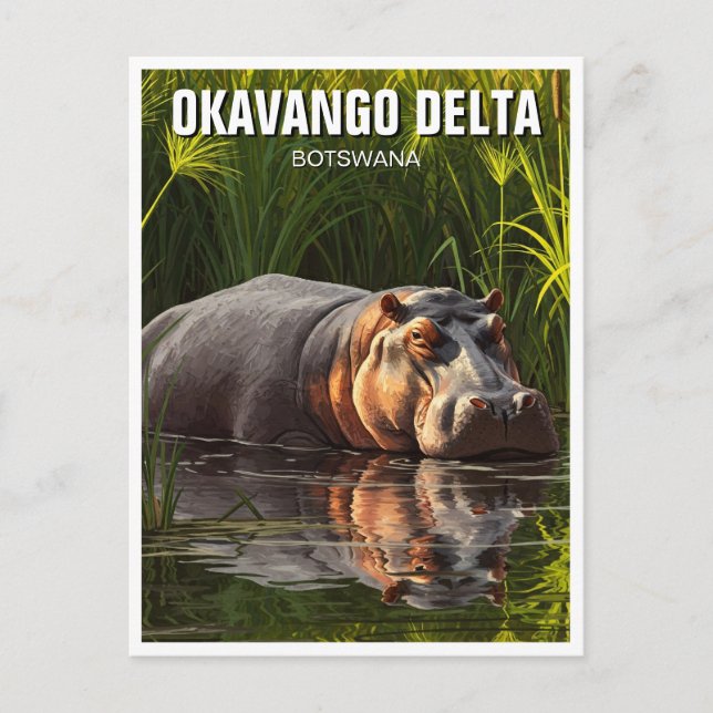 Hippo in Okavango Delta Botswana Postkarte (Vorderseite)