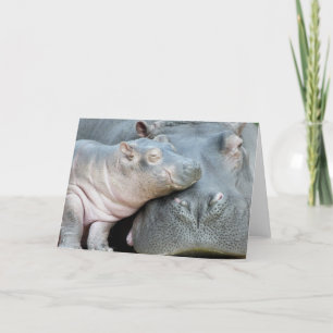 Hippo Karte