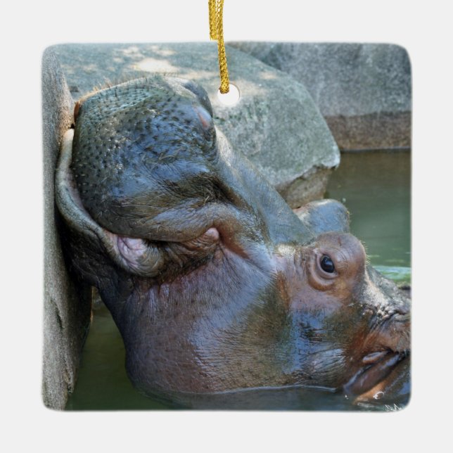 Hippo Ornament (Vorderseite)