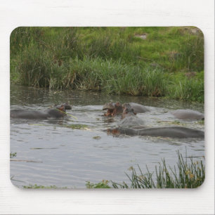 Hippo Pond - Mousepad