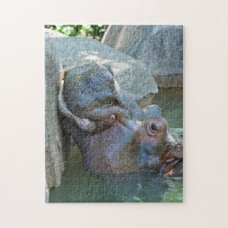 Hippo Puzzle