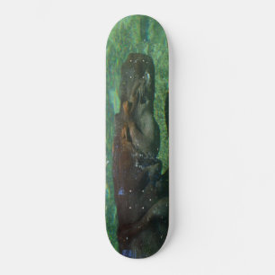 Hippo-Schwimmen unter Wasser, Skateboard