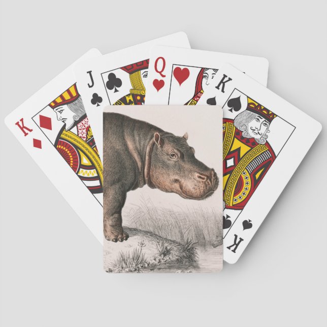 Hippo Vintag illustriert Spielkarten (Rückseite)