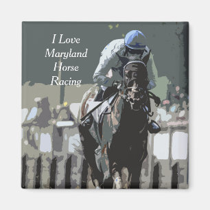 Hippocampe Avec Jockey En Aimant Solide Bleu