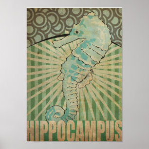 Hippocampus Poster