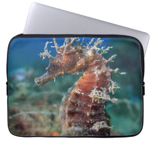 Hippokamp Ramulosus des Seepferd  Laptopschutzhülle
