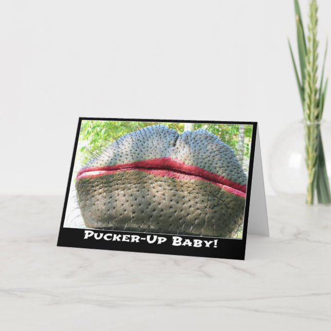 Hippopotame avec la carte de voeux de rouge à (Devant)