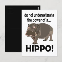 Hippopotamus Animal Funny Hippo