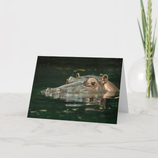 Hippopotamus Card Karte (Vorderseite)