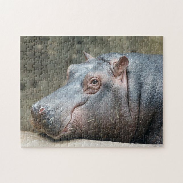 Hippopotamus-Fotopuzzlespiel (Horizontal)