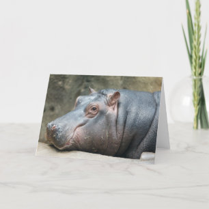 Hippopotamus-Grußkarte Karte
