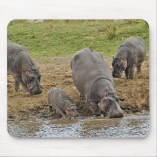 Hippopotamus, Hippopotamus amphibius, Serengeti Mousepad