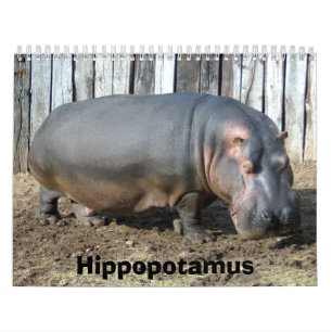 Hippopotamus-Kalender, Hippopotamus Kalender