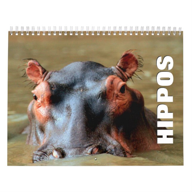 Hippopotamus-Mauerkalender Kalender (Titelbild)