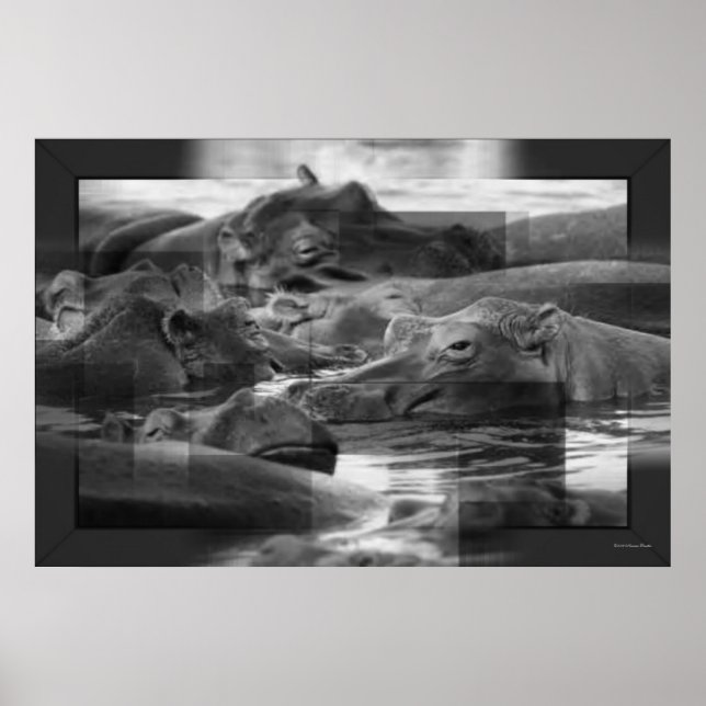 Hippopotamus Print Poster (Vorne)
