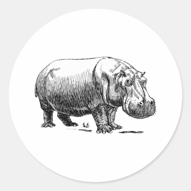 Hippopotamus Runder Aufkleber (Vorderseite)