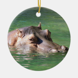 Hippopotamus-Schwimmen auf der Oberfläche Keramikornament