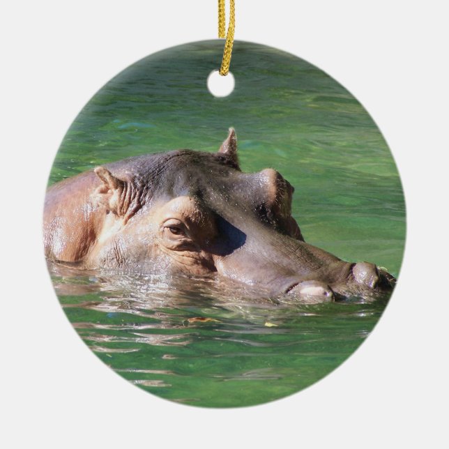 Hippopotamus-Schwimmen auf der Oberfläche Keramikornament (Vorne)