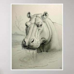 Hippopotamus Zeichnend - Kunstdrucken Poster