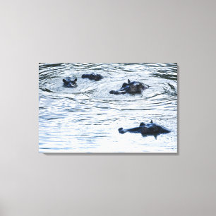 Hippopotamuses, die in einem Fluss, Afrika waten Leinwanddruck