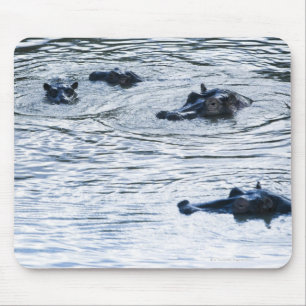 Hippopotamuses, die in einem Fluss, Afrika waten Mousepad