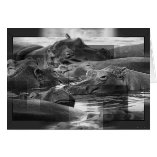 Hippopotamuskarte (Vorderseite (Horizontal))