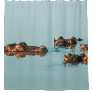 HIPPOS KÜHLEN IM DAM AB DUSCHVORHANG