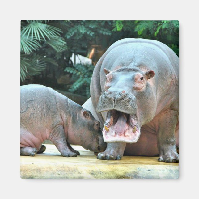 Hippos Magnet (Vorne)