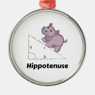 Hippotenuse Funny Math Ornament Aus Metall