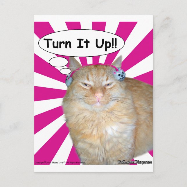 Hippy Kitty Turn It Up! Postkarte (Vorderseite)