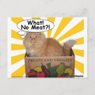 Hippy Kitty Was! Kein Fleisch? Postkarte