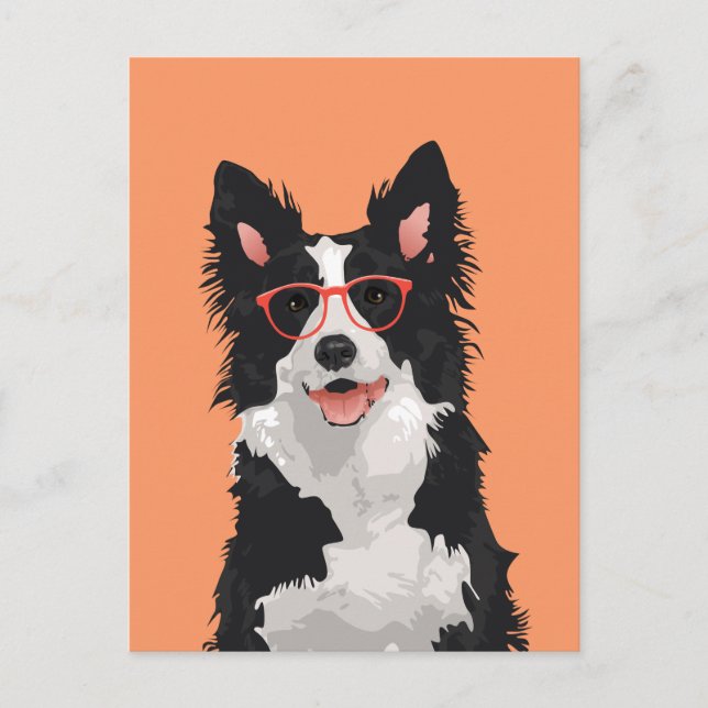 Hipster Border Collie Carte postale pour Amoureux  (Devant)
