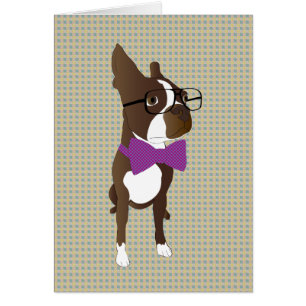 Hipster-Boston-Terrier