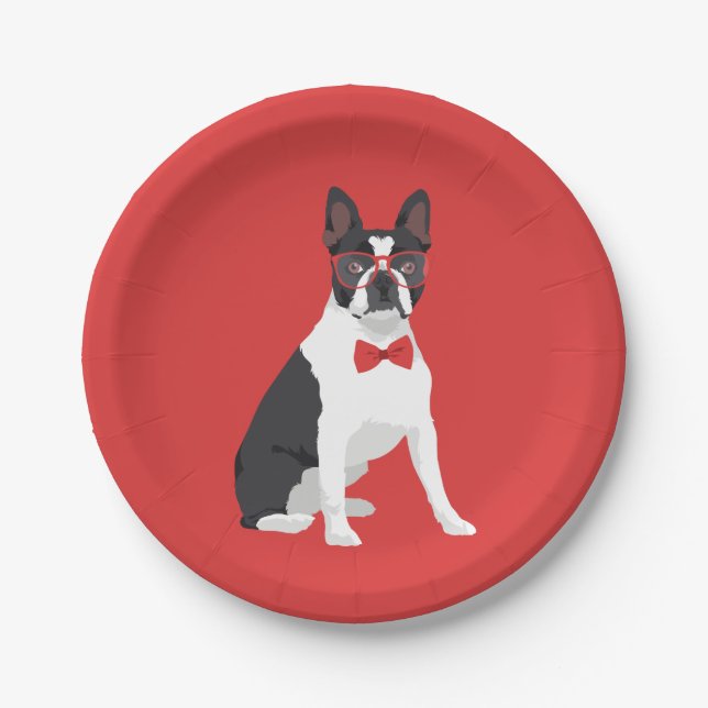 Hipster-Boston-Terrier mit roten Gläsern u. Pappteller (Vorderseite)