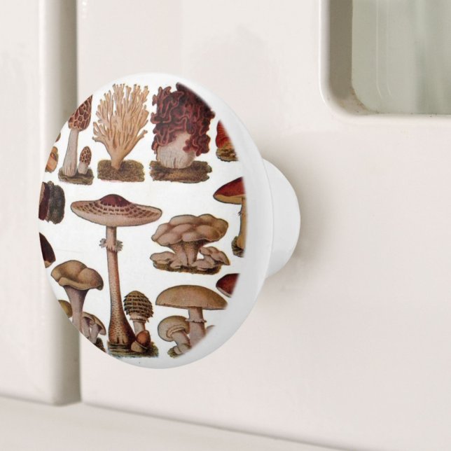 Hipster - Botanischer Ausdruck - Vintage Pilze Keramikknauf (hipster french botanical print vintage mushrooms ceramic knob)