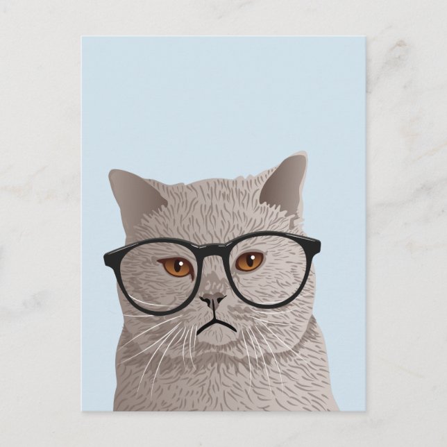 Hipster British Shorthair Cat Postkarte (Vorderseite)
