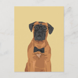 Hipster Bull Mastiff für Hunde Postkarte