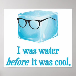 Hipster-Eis-Würfel war Wasser, bevor er cool war Poster